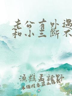 老公有外遇一直和小三断不了怎么办