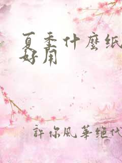 夏季什么纸尿裤好用