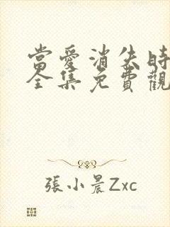 当爱消失时短剧全集免费观看