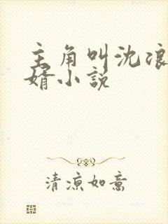 主角叫沈浪的赘婿小说