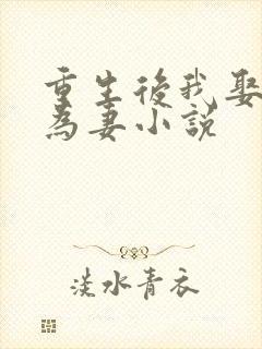 重生后我娶寡嫂为妻小说