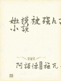 嫩模被强h高h小说