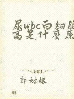 尿wbc白细胞高是什么原因