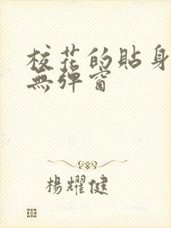 校花的贴身高手无弹窗