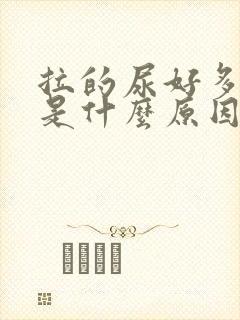 拉的尿好多泡泡是什么原因