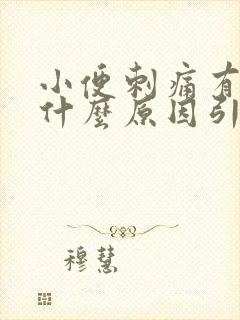 小便刺痛有血是什么原因引起的