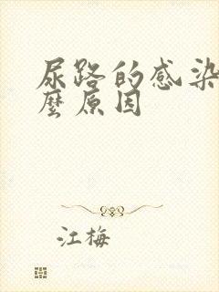 尿路的感染是什么原因