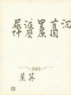 尿液里有沉淀物什么原因