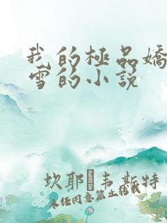 我的极品娇妻沈雪的小说