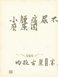 小腹痛尿不尽什么原因