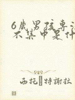 6岁男孩专注力不集中是什么原因