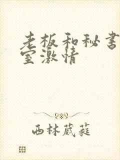 老板和秘书办公室激情