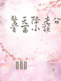 惊天降老公竟是首富小说