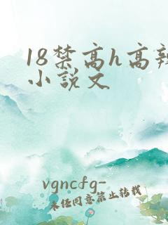 18禁高h高辣小说文