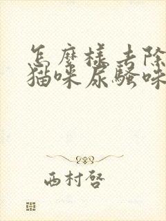 怎么样去除屋里猫咪尿骚味