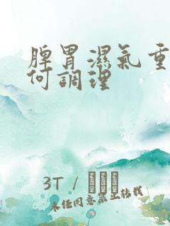 脾胃湿气重该如何调理