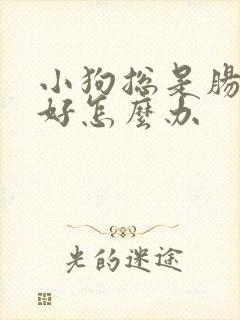 小狗总是肠胃不好怎么办