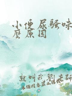 小便尿骚味大什么原因