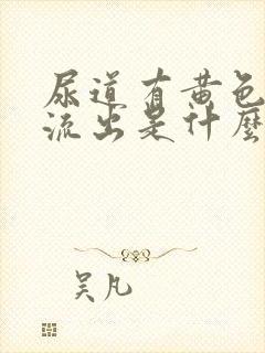 尿道有黄色液体流出是什么原因