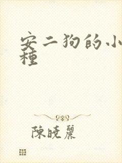 安二狗的小说芒种