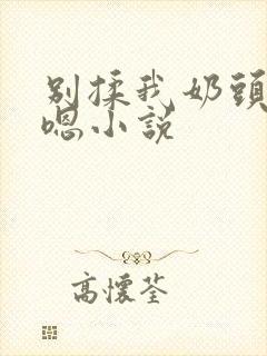 别揉我奶头啊嗯嗯小说