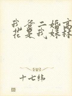 我爸二婚高冷校花是我妹林婉冰