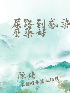 尿路到感染吃什么药好