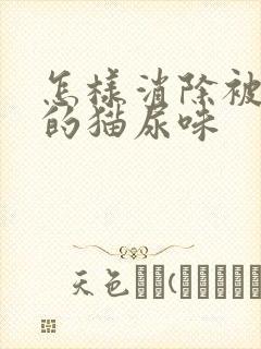 怎样消除被子上的猫尿味