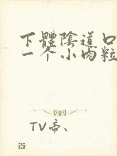 下体阴道口长了一个小肉粒