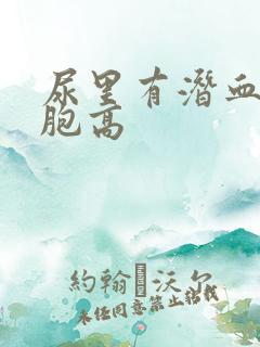 尿里有潜血红细胞高