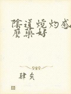 阴道烧灼感用什么药好