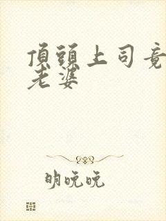 顶头上司竟是我老婆