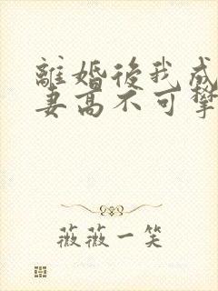 离婚后我成了前妻高不可攀的存在