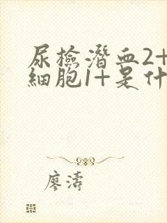 尿检潜血2+白细胞1+是什么意思