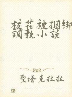 校花被捆绑玩弄调教小说