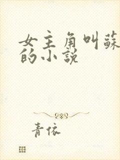 女主角叫苏清欢的小说