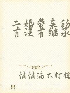 二婚带来的孩子有没有继承权