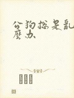 公狗总是乱尿怎么办