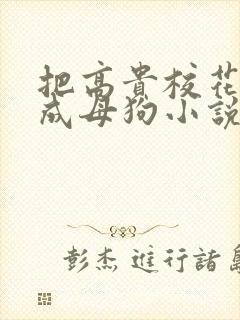 把高贵校花催眠成母狗小说