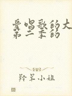 爱唱歌的大姐姐第二季的