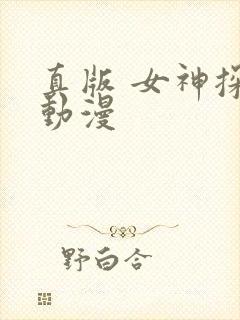 真版 女神探侦动漫
