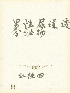 男性尿道透明状分泌物