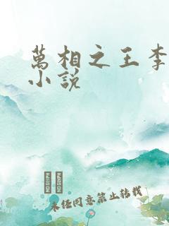 万相之王李洛的小说