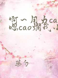 啊～用力cao嗯cao烂我小说