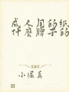 成人用的纸尿裤什么牌子的好