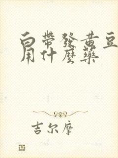 白带发黄豆腐渣用什么药