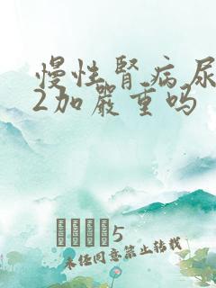 慢性肾病尿蛋白2加严重吗