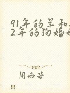 91年的羊和82年的狗婚姻怎么样