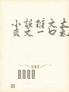 小说推文大女主爽文一口气看完重生有系统