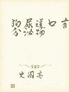 狗尿道口有黄色分泌物